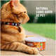 Alimento Natural Livelong Sabor Delícias de Aves para Gatos