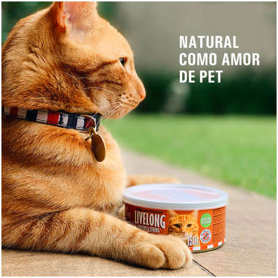 Alimento Natural Livelong Sabor Delícias de Aves para Gatos
