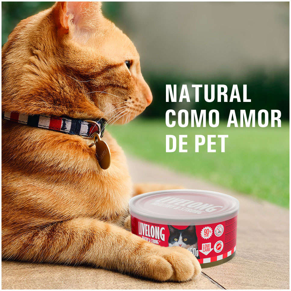Alimento Natural Livelong Delícias de Carne para Gatos - 150 g