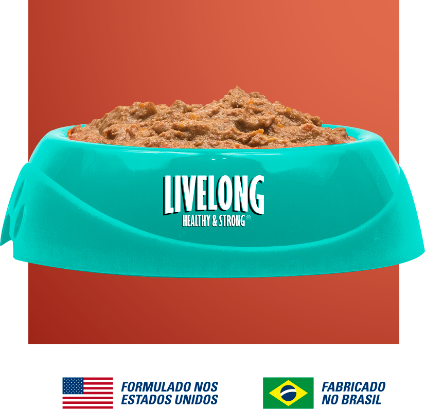 Alimento Natural Livelong Delícias de Aves para Gatos - 300 g