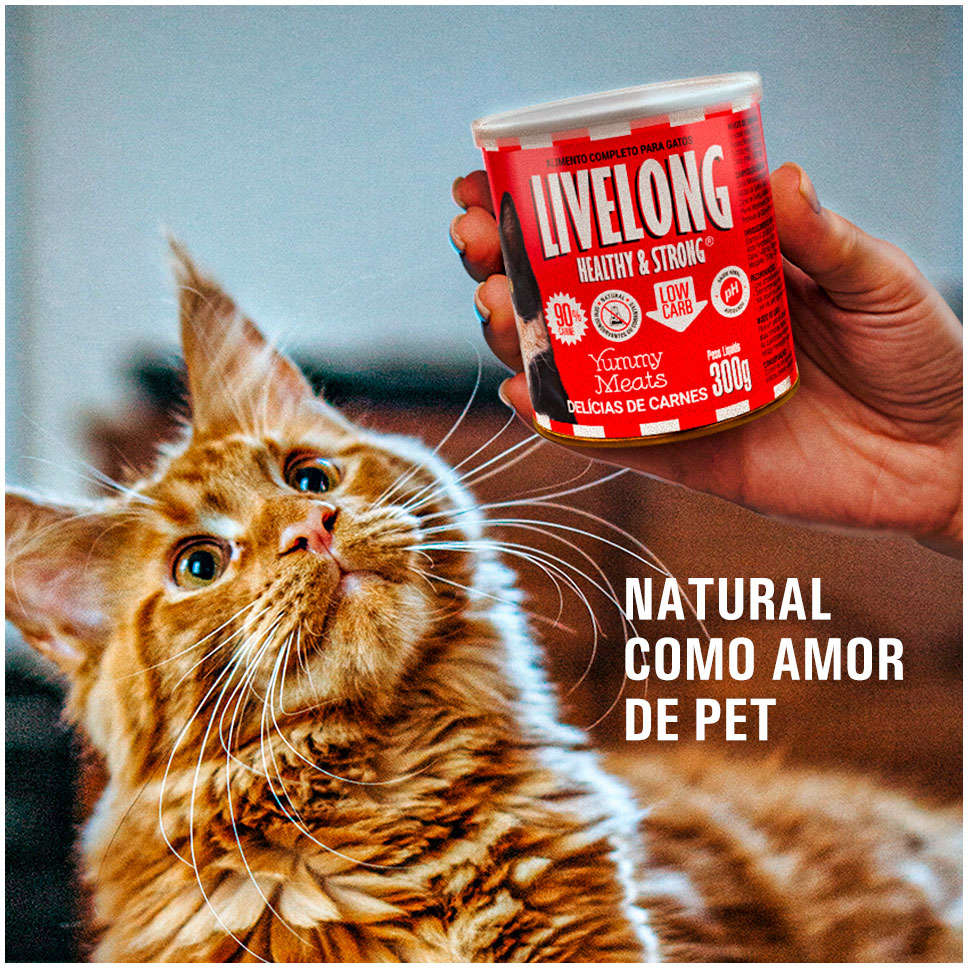 Alimento Natural Livelong Delícias de Carne para Gatos - 300 g