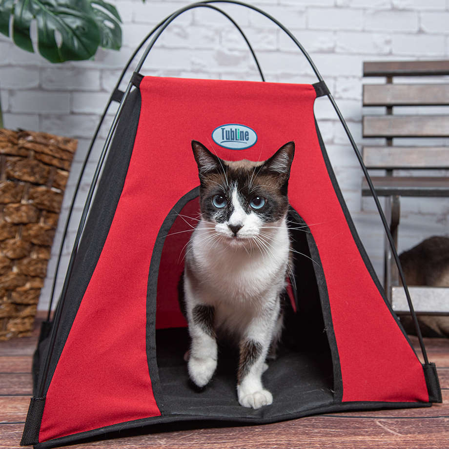 Barraca Pet Camping para Cães de Porte Pequeno - Tam. P