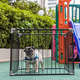 Canil Tubline Play Preto para Cães