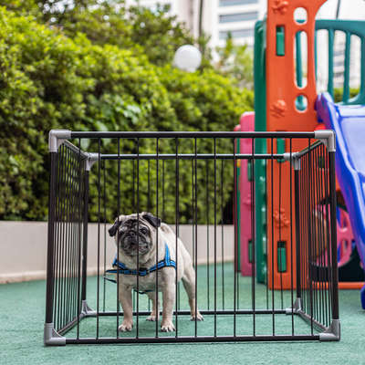 Canil Tubline Play Preto para Cães