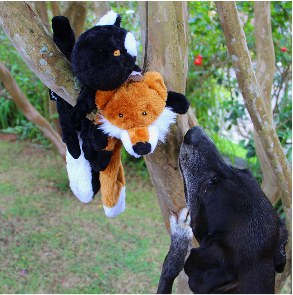 Brinquedo Pelúcia Esquilo Ted para Cães - Tam. Único