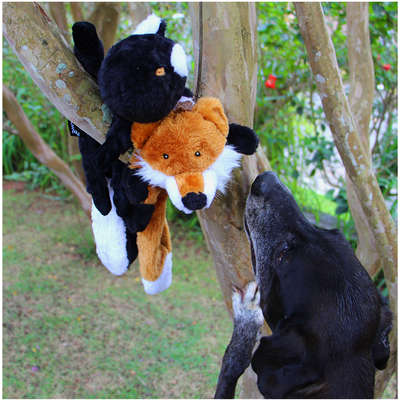 Brinquedo Pelúcia Esquilo Ted para Cães