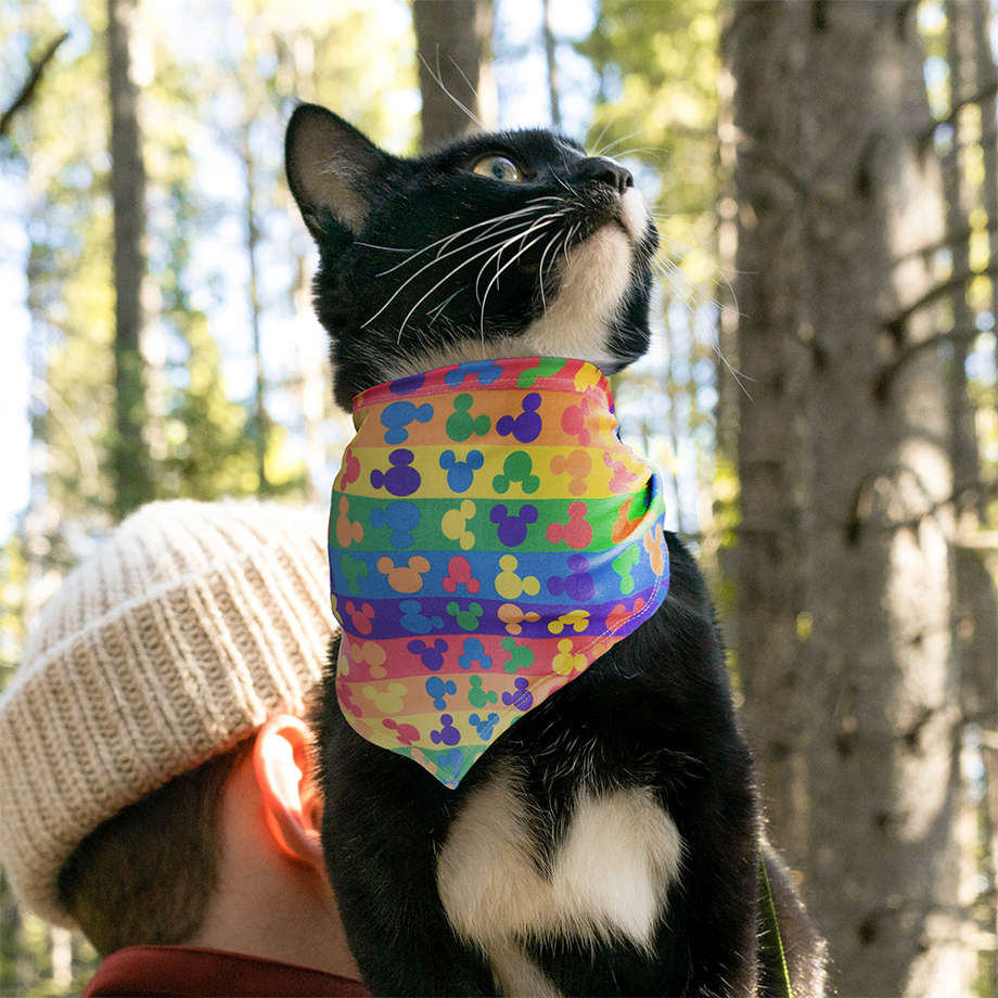 Bandana Fábrica Pet Rainbow Disney - Tam. G