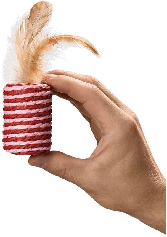 Brinquedo Cilindro com Peninha para Gatos - Tam. Único