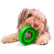 Kit Buddy Toys Dental para Cães e Gatos