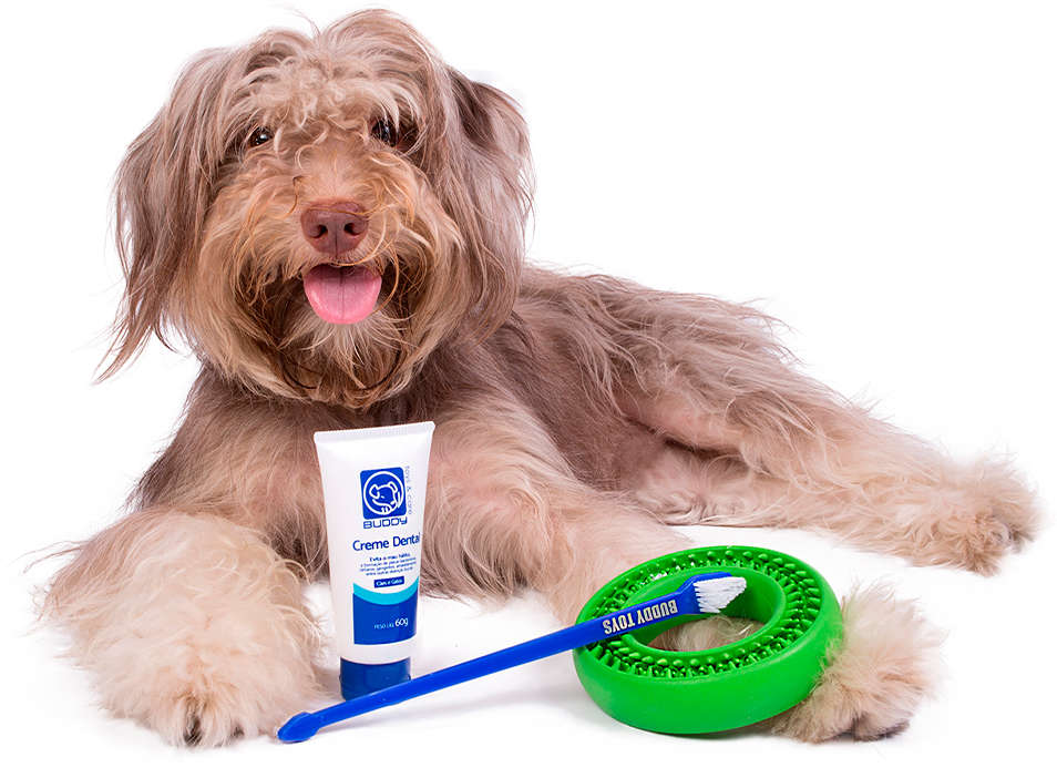 Kit Buddy Toys Dental para Cães e Gatos - Kit