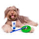 Kit Buddy Toys Dental para Cães e Gatos