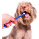Kit Buddy Toys Dental para Cães e Gatos