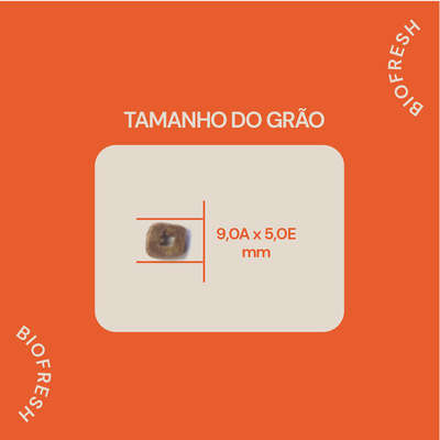 Ração Seca Biofresh Mix de Carne, Frutas, Legumes e Ervas Frescas Light Cães de Raças Pequenas e Minis