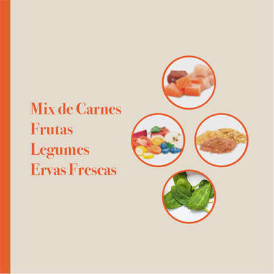 Ração Seca Biofresh Mix de Carne, Frutas, Legumes e Ervas Frescas Light Cães de Raças Pequenas e Minis