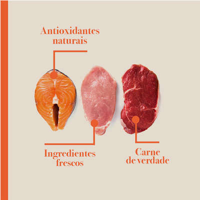 Ração Seca Biofresh Mix de Carne, Frutas, Legumes e Ervas Frescas Light Cães de Raças Pequenas e Minis