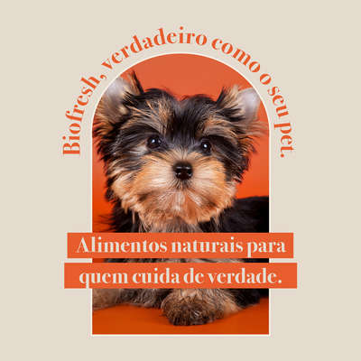 Ração Seca Biofresh Mix de Carne, Frutas, Legumes e Ervas Frescas Light Cães de Raças Pequenas e Minis