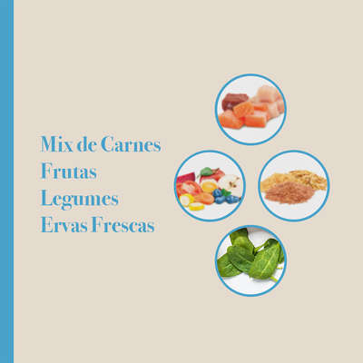 Ração Seca Biofresh Mix de Carne, Frutas, Legumes e Ervas Frescas Cães Filhotes de Raças Médias