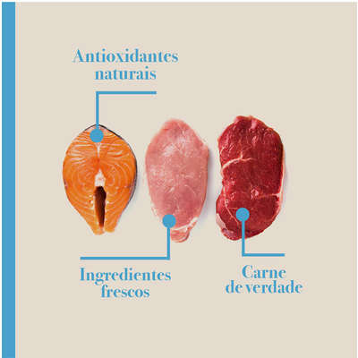 Ração Seca Biofresh Mix de Carne, Frutas, Legumes e Ervas Frescas Cães Filhotes de Raças Médias