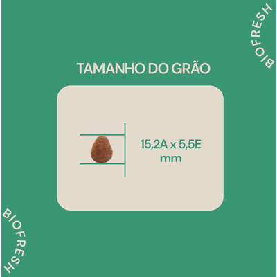 Ração Seca Biofresh Mix de Carne, Frutas, Legumes e Ervas Frescas Cães Sênior de Raças Grandes e Gigantes
