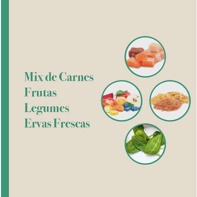 Ração Seca Biofresh Mix de Carne, Frutas, Legumes e Ervas Frescas Cães Sênior de Raças Grandes e Gigantes