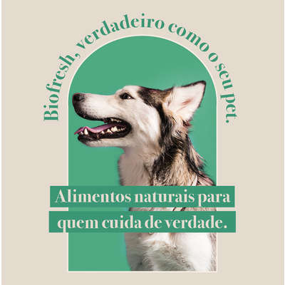 Ração Seca Biofresh Mix de Carne, Frutas, Legumes e Ervas Frescas Cães Sênior de Raças Grandes e Gigantes
