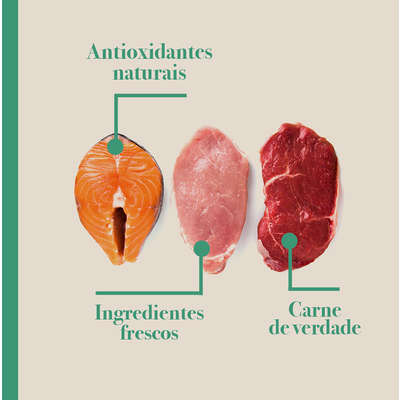 Ração Seca Biofresh Mix de Carne, Frutas, Legumes e Ervas Frescas Cães Sênior de Raças Grandes e Gigantes
