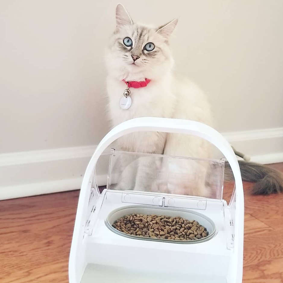 Comedouro Sure PetCare Feed Microchip Connect para Gatos - Tam. Único
