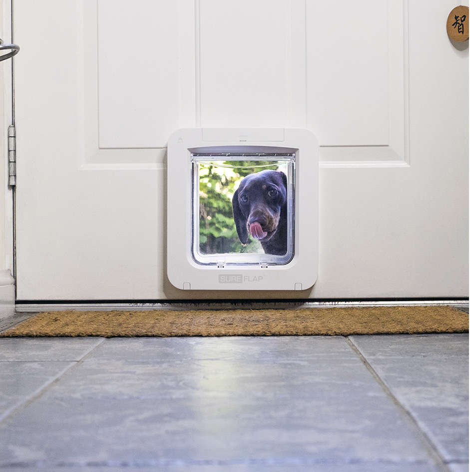 Porta Sure PetCare Flap Microchip Connect para Gatos - Tam. Único