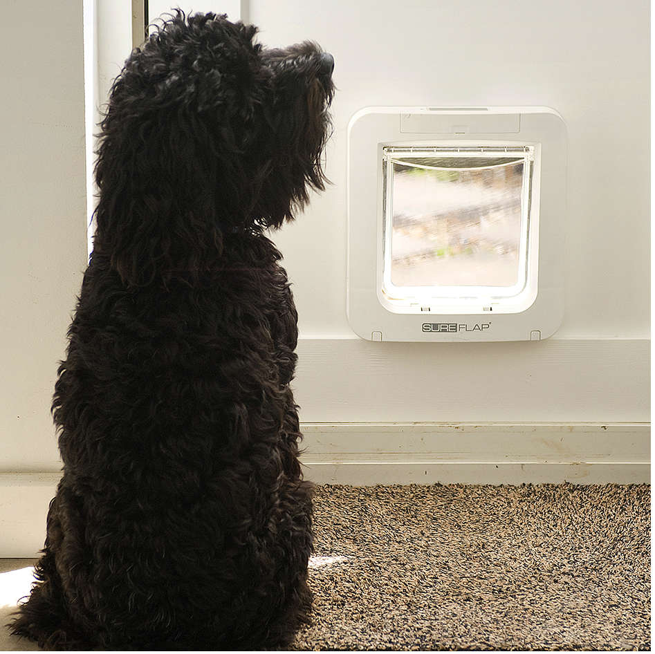 Porta Sure PetCare Flap Microchip Connect para Gatos - Tam. Único