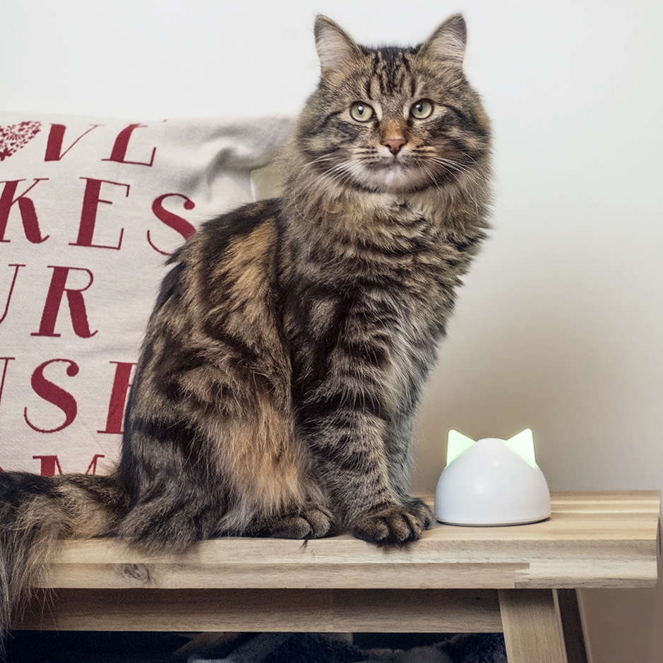 Hub Sure PetCare Connect - Tam. Único