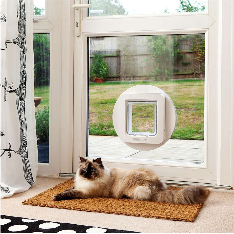 Adaptador Sure PetCare Branco para Porta Microchip - Tam. Único
