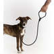 Coleira Leather Rope Preta com Mosquetão Dourado para Cães