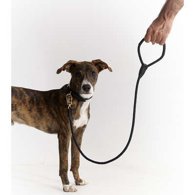 Coleira Leather Rope Preta com Mosquetão Dourado para Cães