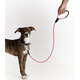 Coleira Leather Rope Pink com Mosquetão Prata para Cães