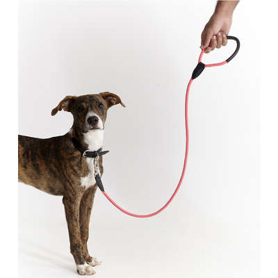 Coleira Leather Rope Pink com Mosquetão Prata para Cães