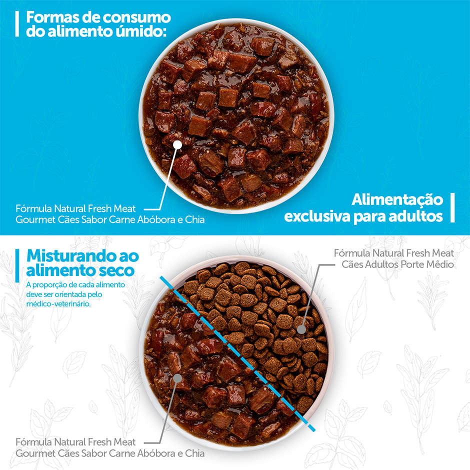 Ração Úmida Fórmula Natural Fresh Meat Gourmet Carne, Abóbora e Chia para Cães Adultos - 70 g