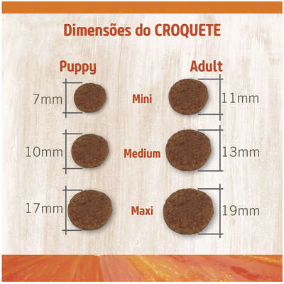 Ração Farmina N&D Pumpkin Salmão, Abóbora e Laranja para Gatos Adultos