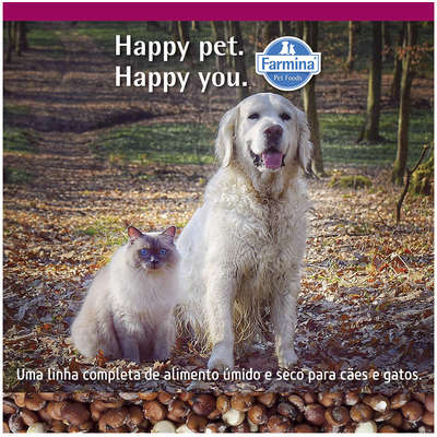 Ração Farmina N&D Quinoa Skin & Coat Peixe para Cães Adultos de Todas as Raças