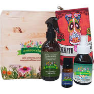 Kit Animal Flower Novo Membro na Família - Kit