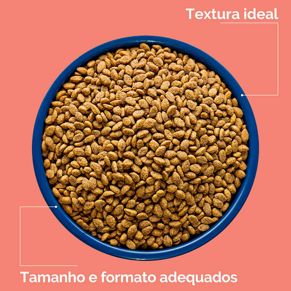 Ração Seca Origens Carne Gatos Adultos - 10,1Kg