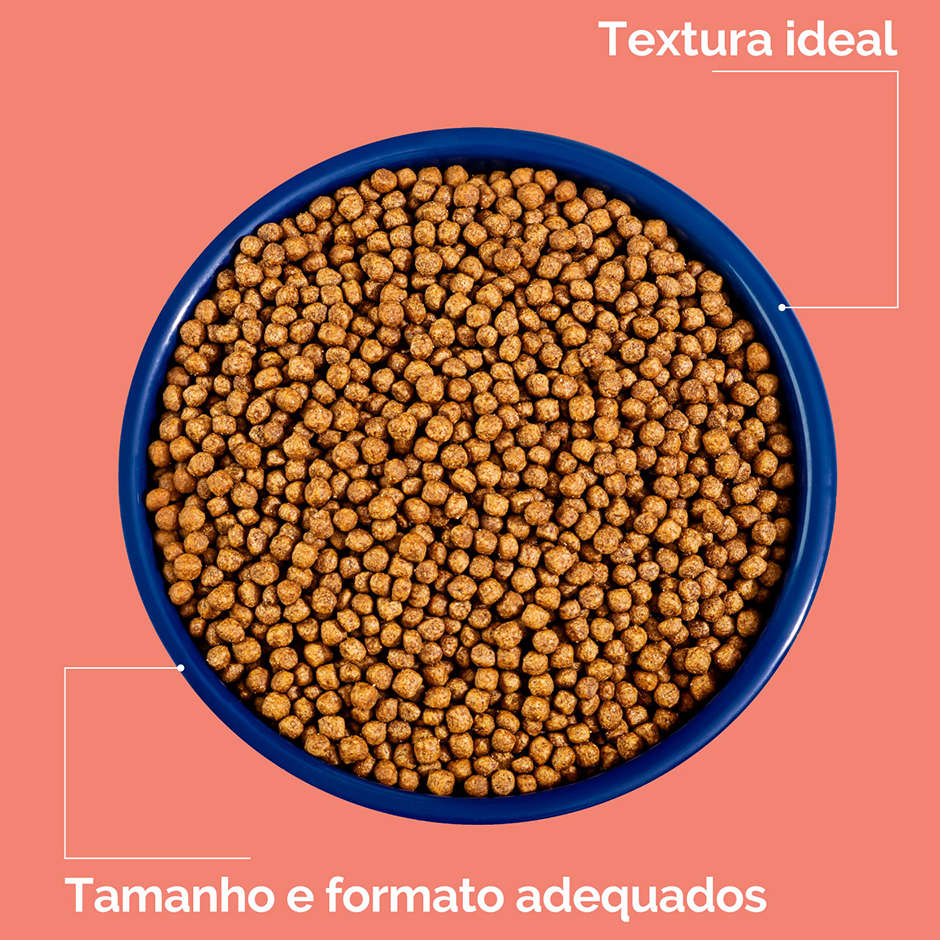 Ração Seca Origens Frango e Cereais Gatos Filhotes - 3Kg