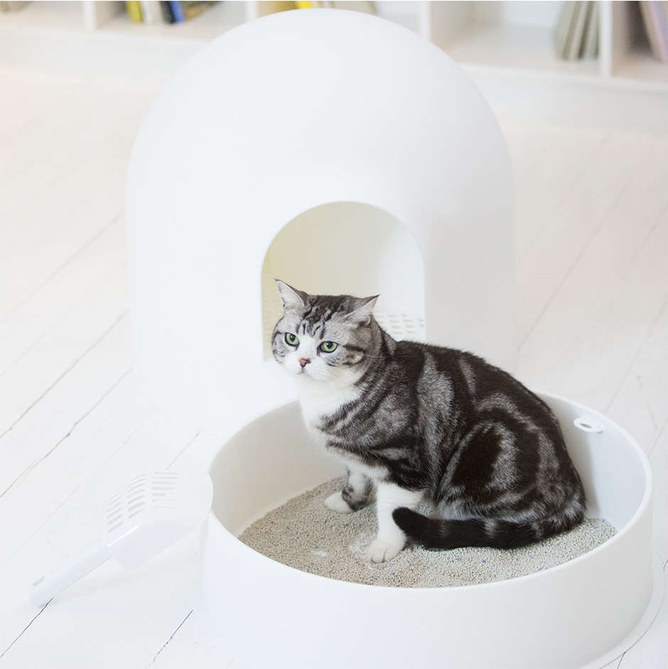 Caixa de Areia Pidan Igloo Branca para Gatos - Tam. Único