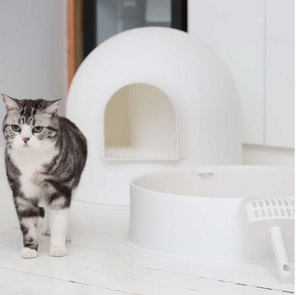 Caixa de Areia Pidan Igloo Branca para Gatos - Tam. Único