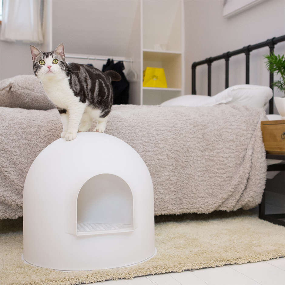 Caixa de Areia Pidan Igloo Branca para Gatos - Tam. Único