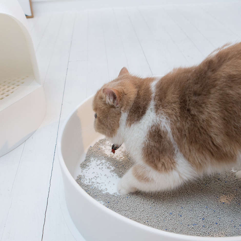 Caixa de Areia Pidan Igloo Branca para Gatos - Tam. Único