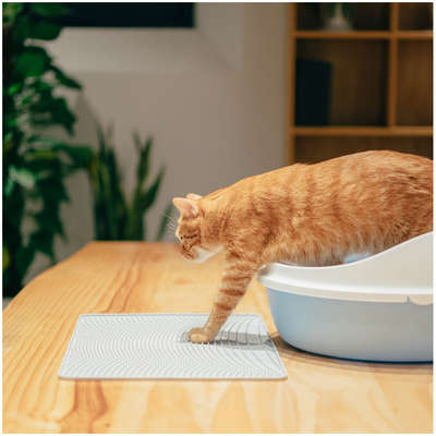 Tapete Limpa Patas Pidan Cinza para Gatos