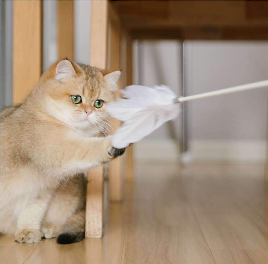 Brinquedo Interativo Pidan Cinza para Gatos - Tam. Único