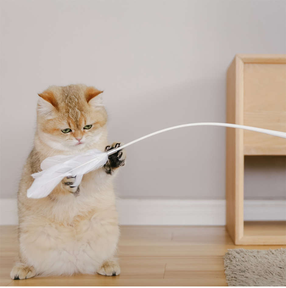 Brinquedo Interativo Pidan Cinza para Gatos - Tam. Único