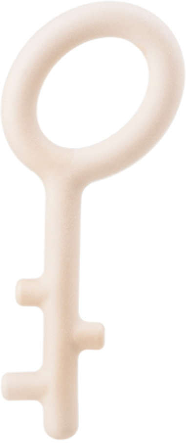 Brinquedo Chave Pidan Rosa para Cães - Tam. G