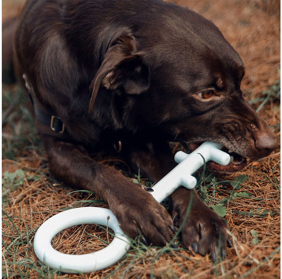 Brinquedo Chave Pidan Azul para Cães - Tam. G